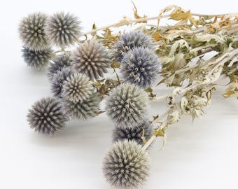 Natural Blue Dried Echinops Thistle | Globe Thistle Bouquet | Rustic Wedding | Home Decor | Blue Table Centerpiece | Blue Flowers For Vase