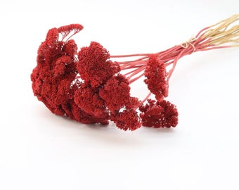 Red Dried Achillea Bunch | Dried Flowers | Rustic Wedding Decor | Dried Yarrow | Dried Grass for Vase | DIY Red Wreath | Floral Arrangement