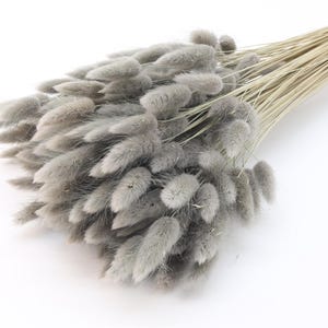Gray Bunny Tails | Dried Lagurus Bunch in Grey | Dried Grass | Rabbit Tails | Bridal Bouquet | Wedding in Grey | Fall Home Decor | Gift Idea