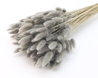 Gray Bunny Tails | Dried Lagurus Bunch in Grey | Dried Grass | Rabbit Tails | Bridal Bouquet | Wedding in Grey | Fall Home Decor | Gift Idea