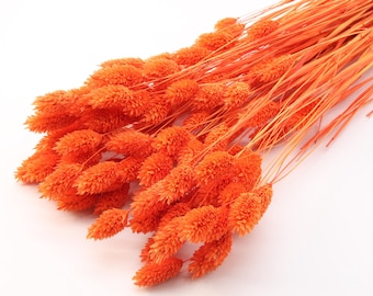 Orange Dried Phalaris | Orange Dried Canary Grass | Dried Grass Bunch | Dried Flowers Bouquet | Autumn Wedding | Fall Thanksgiving Decor