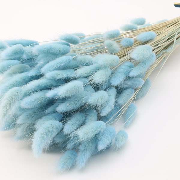 120 pcs Light Blue Dried Lagurus | Dried Lagurus Grass | Bunny Tails | Blue Wedding | Blue Bridal Bouquet | Table Centerpieces | Blue Xmas