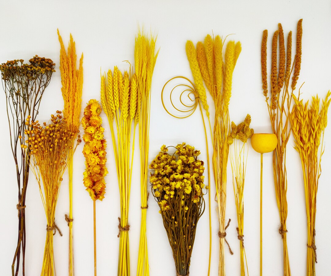 Yellow Dried Flowers Create Your Own Flower Bouquet DIY Dried Flower