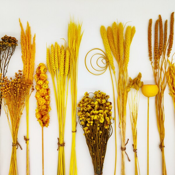 Yellow Dried Flowers Etsy