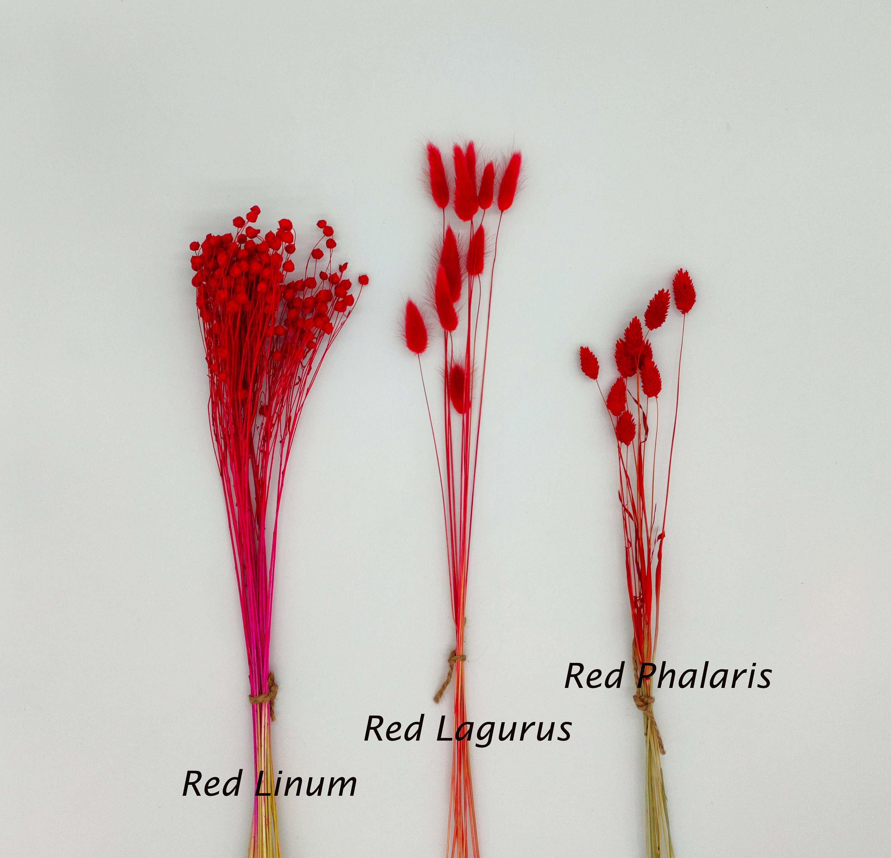 Red Dried Flowers DIY Dried Flower Bouquet Create Your Own Etsy
