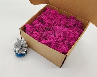 Fuchsia Finnish Reindeer Moss | Preserved Reindeer Lichen | Moss Wall Art | Moss for Crafts | Pink Wedding | DIY Home Decor | Moss Frame