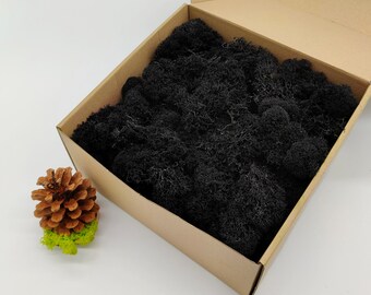 Black Finnish Reindeer Moss | Preserved Reindeer Lichen | Moss Wall Art | Table Decor | Moss for DIY Crafts | Black Wedding | Card Making