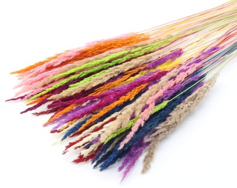 Multicolor Dried Pampas Bunch | Colorful Dried Pampas Grass | Rustic Wedding | Farmhouse Decor | Dried Flowers | Gift for Her | Centerpieces