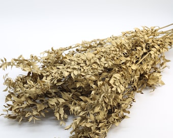 Gold Ruscus 5/10 Stems | Gold Dried Grass | Christmas | Dried Flower Bouquet | Wedding Decor | Dried Leaves | Gold Dried Flowers | Home Gift