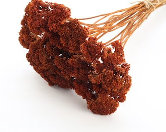Dark Orange Dried Achillea Bunch | Orange Dried Flowers | Rustic Wedding Decor | Burnt Orange Yarrow | Terracotta Dried Grass | DIY Bouquet
