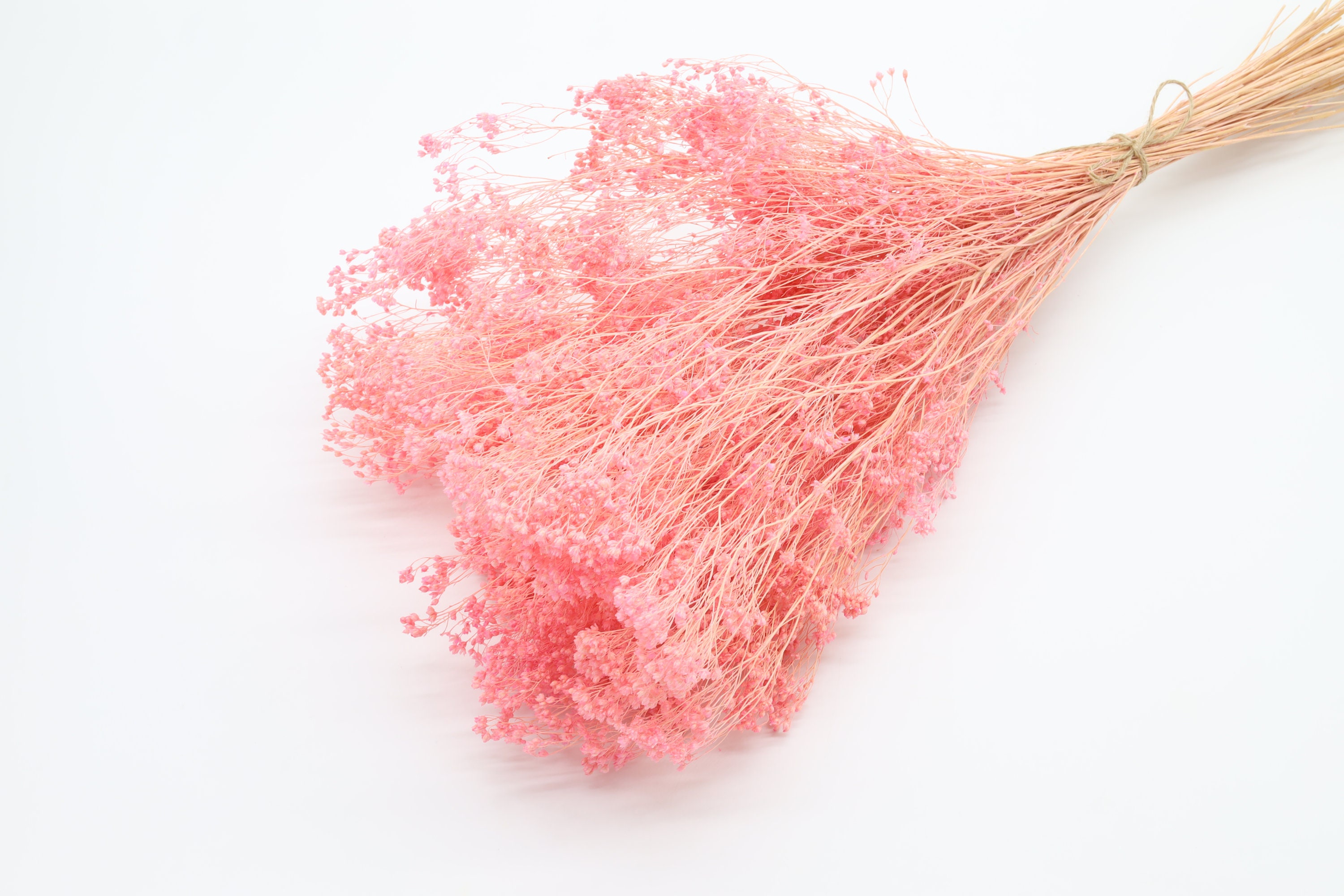 Light Pink Bloom Broom 75 grams, Dried Bloom Broom Flower, Summer Wedding, Pink Bouquet Filler, Small Dried Flowers