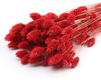 Red Dried Phalaris | Red Canary Grass | Dried Grass | Dried Flowers | Red Decor | Red Christmas | Red Wedding | Bridal Bouquet | NewHome