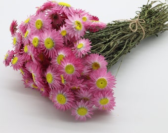 100 Dried Pink Daisies Bunch | Dried Pink Helipterum Acroclinium | Rustic Wedding Decor | Dried Flowers | Paper Daisy | Pink Bridal Bouquet