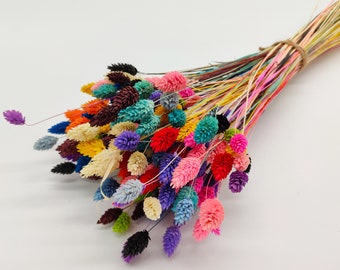 Create Your Own Colorful Phalaris Bouquet | DIY Dried Flower Bouquet |  DIY Colorful Dried Canary Grass Kit | Flower Arrangements Home Decor