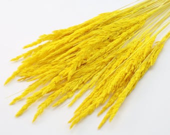 30 pcs Yellow Dried Pampas | Yellow Grass Bunch | Tall Vase Filler | Sunny Decor | Yellow Dried Flowers | Small Pampas Stems | Kitchen Deco