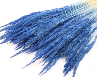 Blue Dried Pampas Bunch | Small Pampas Grass | Blue Dried Flowers | Wedding Decor | Tall Vase Filler | Boho | Mini Pampas | Dried Bouquet