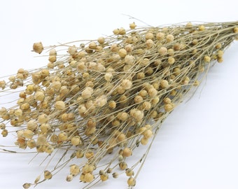 Natural Dried Linum | Dried Flax Bouquet | Dried Flax Bunch | Wedding Flowers | Dried Grass | Rustic Decor | Dried Flowers for Crafts | Gift