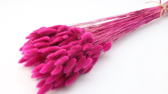 Fuchsia Pink Dried Lagurus | Pink Bunny Tails | Dried Rabbit Tails Bundle | Pink Wedding Decor | Vase Flowers | Pink Bride Bouquet