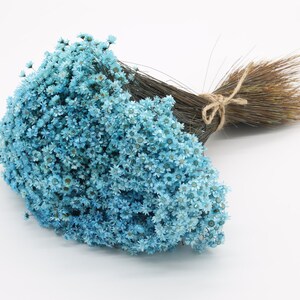 Light Blue Dried Glixia | Mini Dried Flowers | Wedding Flowers | Blue Dried Grass | Table Decor | Dried Blue Flowers | Flower Arrangement