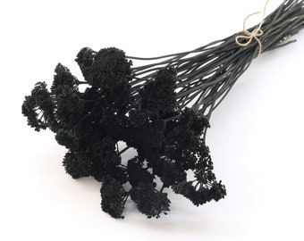 Black Dried Achillea | Black Dried Wild Flower | Black Grass Bunch | Black Wedding Decor | Black Vase Filler | Yarrow Flowers | Minimalist