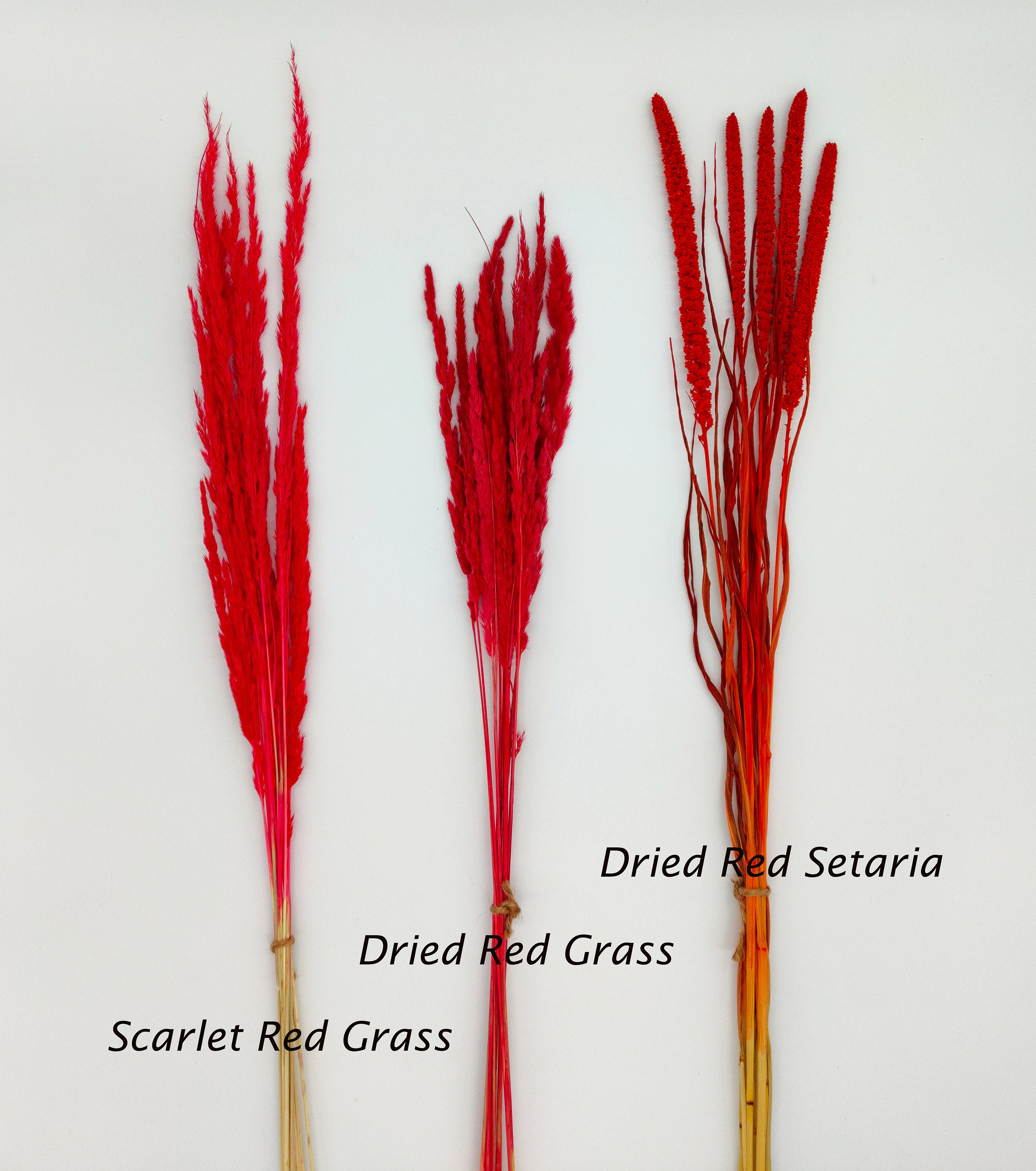 Red Dried Flowers DIY Dried Flower Bouquet Create Your Own Etsy