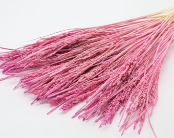 Pink Dried Rice Stems Bundle - 40pcs | Rice Branches | Floral Arrangement | Dried Rice Ears | Summer Wedding Decor | Bridal Bouquet in Pink