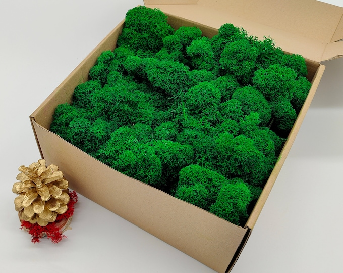 Featured listing image: Green Finnish Reindeer Moss | Moss Wall Decor | Preserved Reindeer Lichen | Moss for Arts & Crafts | Rustic Wedding | Wedding Aisle