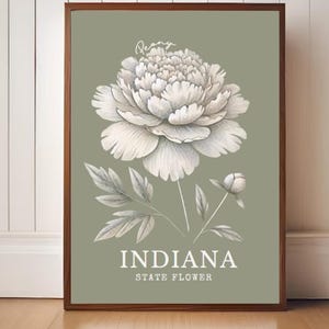 Arte digital de peonías de Indiana: impresión minimalista de flores estatales para pared, elegante decoración botánica para el hogar