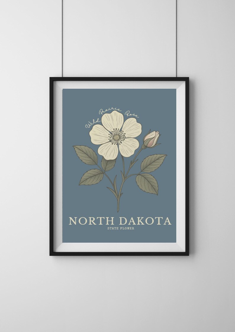 North Dakota State Flower Art Print – Wild Prairie Rose Vintage ...