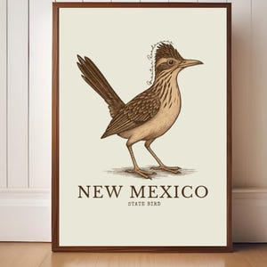 New Mexico State Bird Art Print – Greater Roadrunner Vintage Botanical Illustration