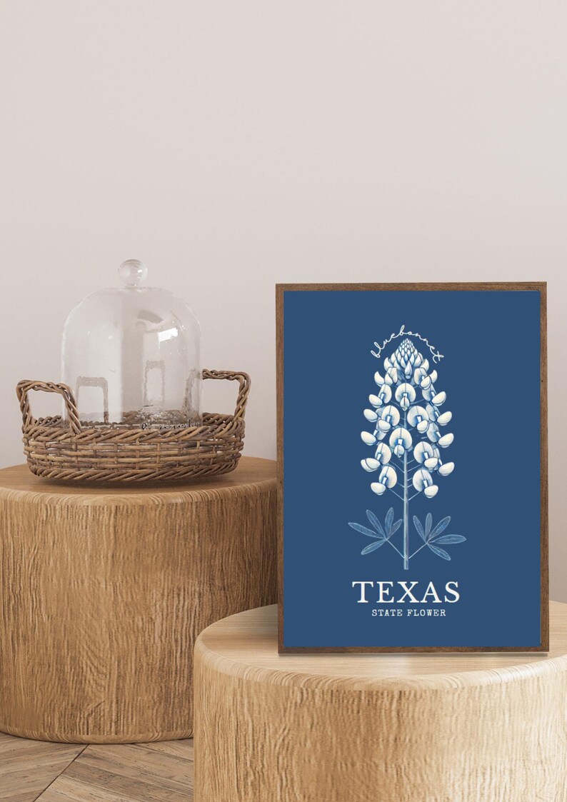 Texas Bluebonnet Digital Art – Minimalist State Flower Botanical Print ...