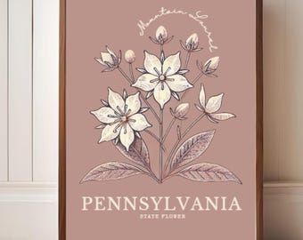 Arte digital de Laurel da montanha da Pensilvânia – Impressão de parede botânica minimalista de flor do estado, ilustração floral elegante