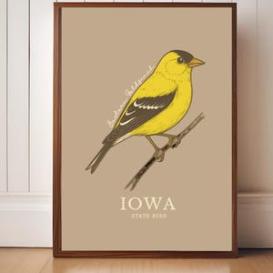 Iowa State Bird Art Print – Eastern Goldfinch Vintage Botanical Illustration