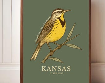 Kansas State Bird Art Print – Western Meadowlark Vintage Botanical Illustration
