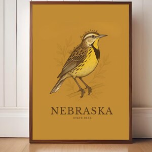 Nebraska State Bird Art Print – Western Meadowlark Vintage Botanical Illustration