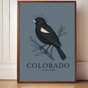 Colorado State Bird Art Print – Lark Bunting Vintage Blackbird Illustration