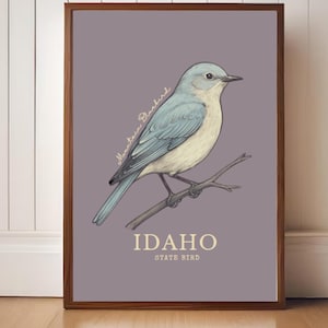 Idaho State Bird Art Print – Mountain Bluebird Vintage Botanical Illustration