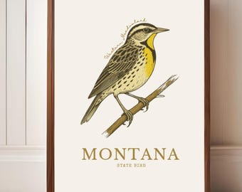 Montana State Bird Art Print – Western Meadowlark Vintage Botanical Illustration