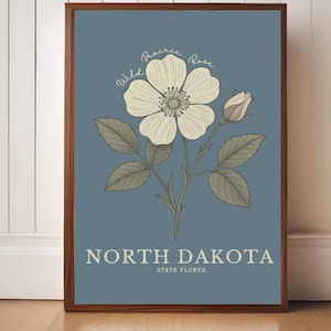 North Dakota State Blumen Kunstdruck – Wilde Prärie Rose Vintage botanische Illustration