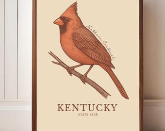 Kentucky State Bird Art Print – Northern Cardinal Vintage Botanical Illustration