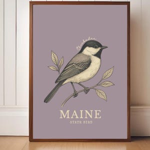 Lámina artística de aves del estado de Maine: Ilustración botánica vintage de carbonero
