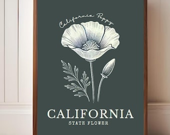 California Poppy Print: Minimalist Botanical Wall Art (Digital Download)