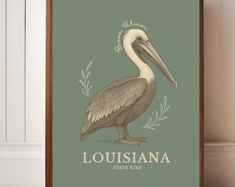Impression d'art oiseau de l'État de Louisiane – Illustration côtière vintage de pélican brun