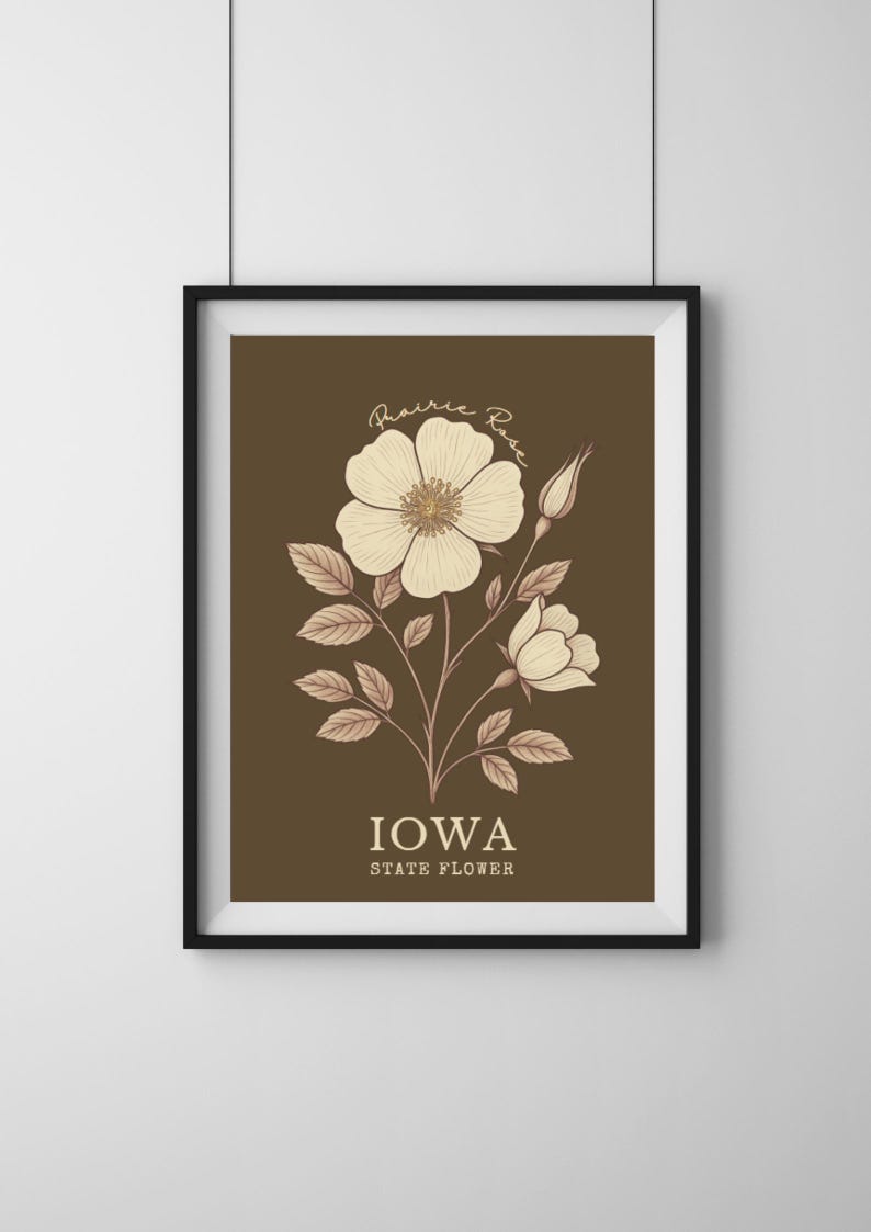 Iowa State Flower Art Print – Prairie Rose Vintage Botanical ...