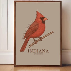 Lámina artística del ave del estado de Indiana: Ilustración botánica vintage del cardenal norteño