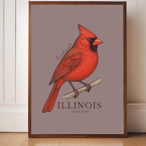 Lámina artística de aves del estado de Illinois: Ilustración botánica vintage del cardenal norteño