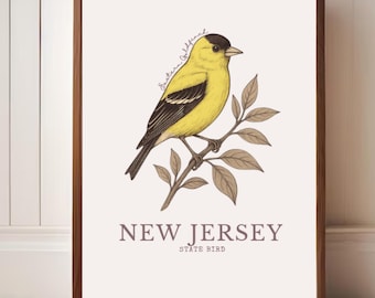 New Jersey State Vogel Kunstdruck – Stieglitz Vintage botanische Illustration
