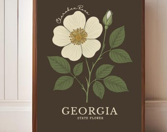 Lámina artística de la flor del estado de Georgia: Ilustración botánica vintage de la rosa Cherokee
