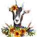 Profilbild von CharmingFarmsShop