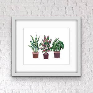 Pink Princess Philodendron Painting Art Print - Gouache Plant Art